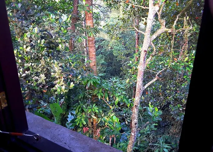 Honey Tree Villa- Life Is Sweet! Holiday home *
